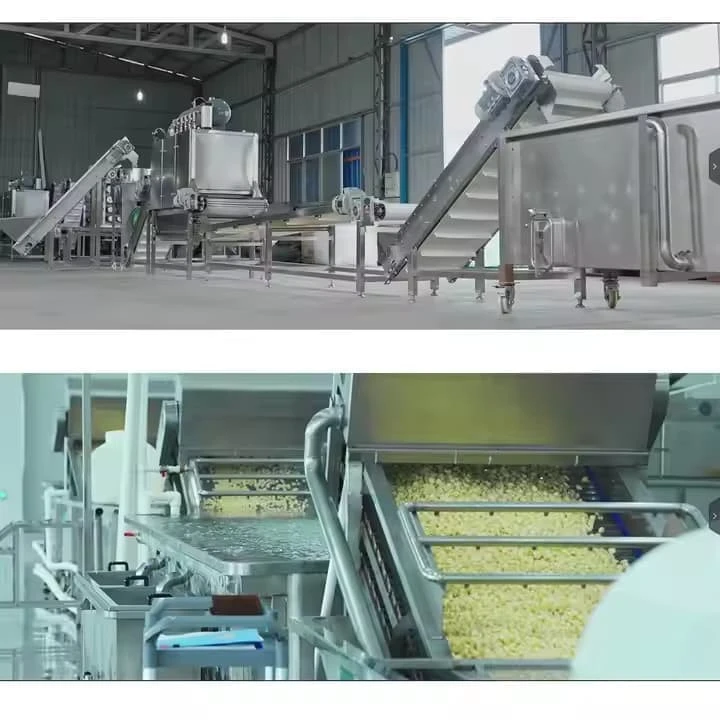 Fully Automatic Peeled Garlic Skin Removing Peeling Production Line