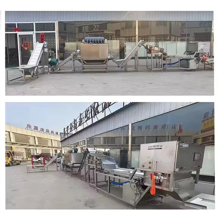 Peeled Garlic Production Line Garlic Processing Machine Making Machine Peeling Garlic Machine