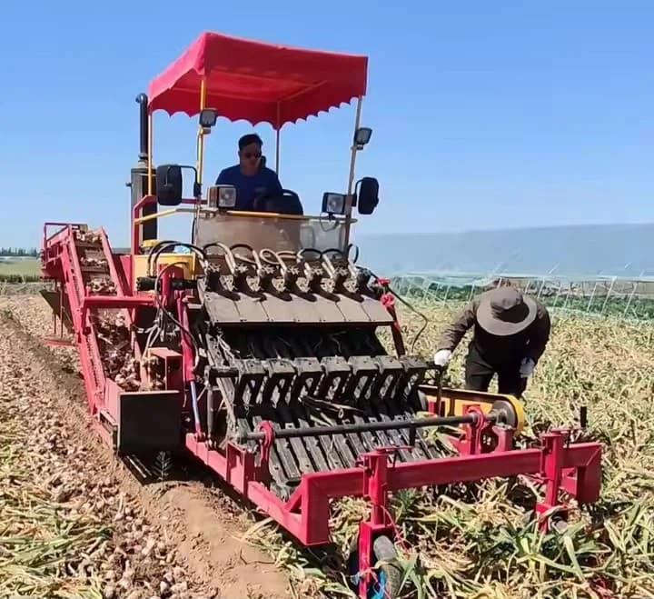 מחיר חקלאי חדש ובבעלות מפעל משולב חקלאות משולבת, ניקיון ואריזה של Mahine